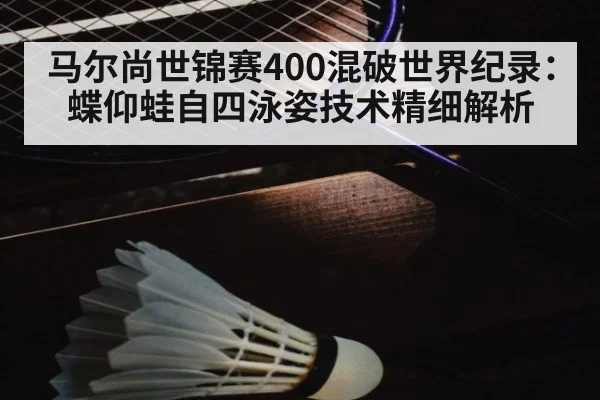 马尔尚世锦赛400混破世界纪录：蝶仰蛙自四泳姿技术精细解析