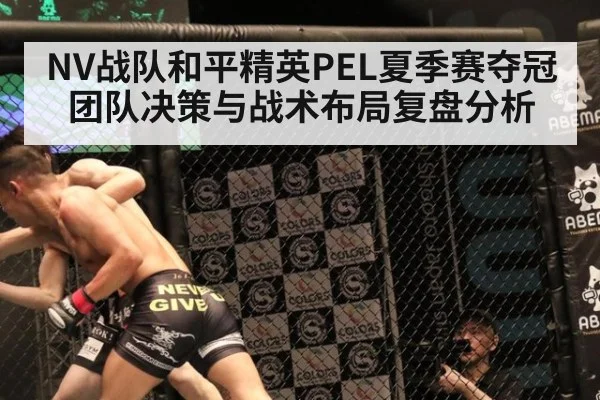 NV战队和平精英PEL夏季赛夺冠团队决策与战术布局复盘分析